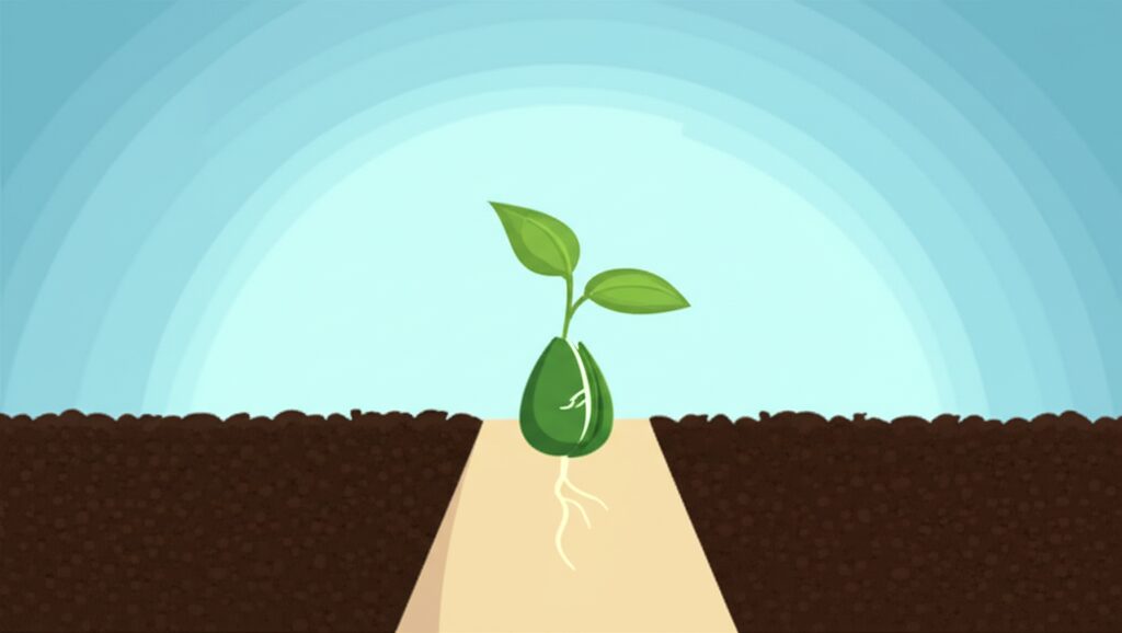 O Segredo Descomplicado para Criar um Hábito Novo e Duradouro