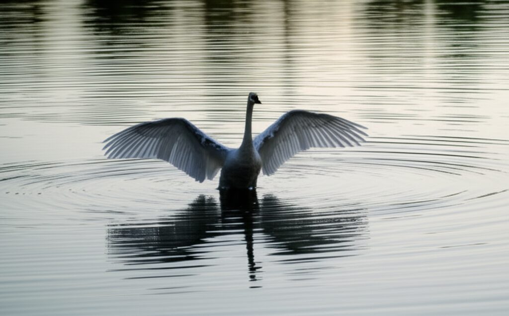 Descubra Sua Verdadeira Consciência: Você Não É Seus Pensamentos