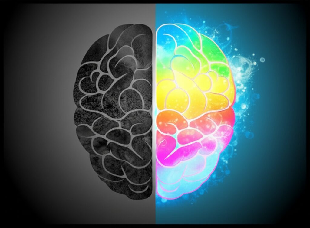 Desvende o Viés da Negatividade: O Cérebro, a Positividade e Como Superar