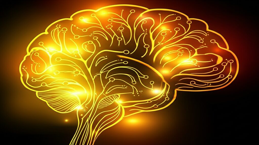 Pensamento Positivo: Como Ele Reconfigura Seu Cérebro (Neuroplasticidade) e Transforma Sua Vida